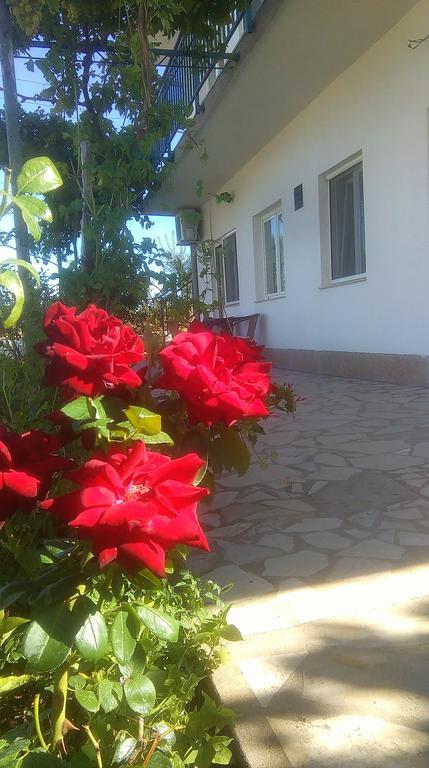 Apartments Nena Lozovac Exterior foto